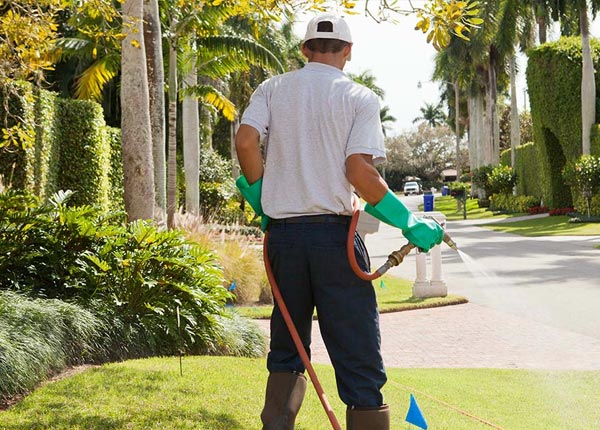 About Cuba NM Pest Control